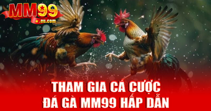 Tham gia cá cược đá gà MM99 hấp dẫn