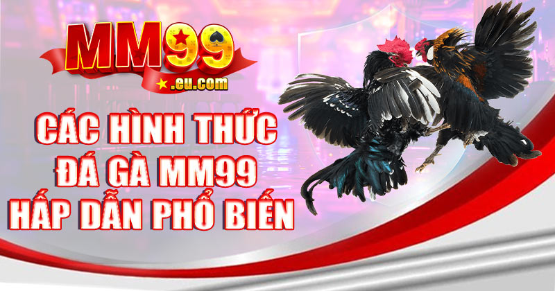 Các hình thức đá gà MM99 hấp dẫn phổ biến