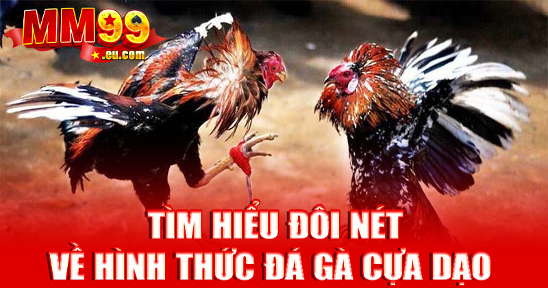 Tìm hiểu đôi nét về hình thức đá gà cựa dạo
