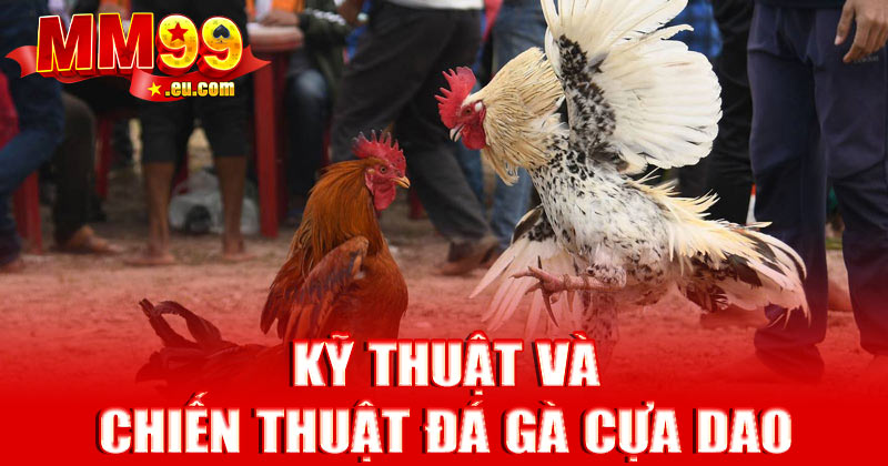 Kỹ thuật và chiến thuật đá gà cựa dao đỉnh cao