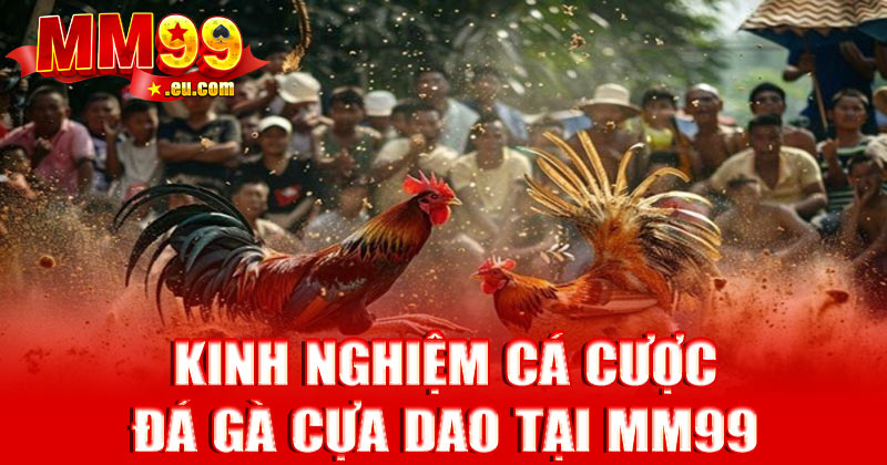Kinh nghiệm cá cược đá gà cựa dao tại MM99