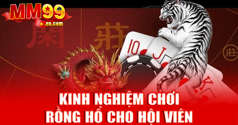 Kinh nghiệm chơi rồng hổ cho hội viên