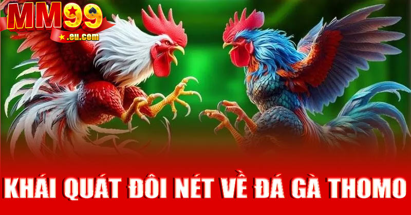 Khái quát đôi nét về hình thức đá gà Thomo