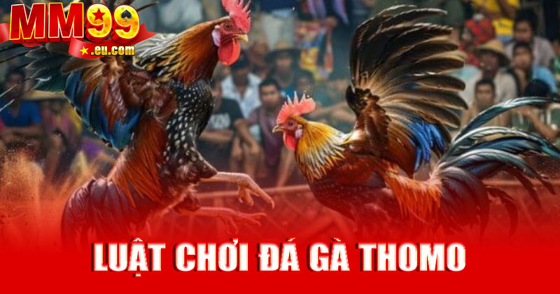 Luật chơi đá gà Thomo