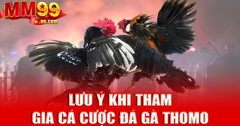 Những lưu ý khi tham gia cá cược đá gà Thomo